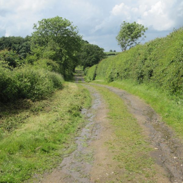 Bayses Lane