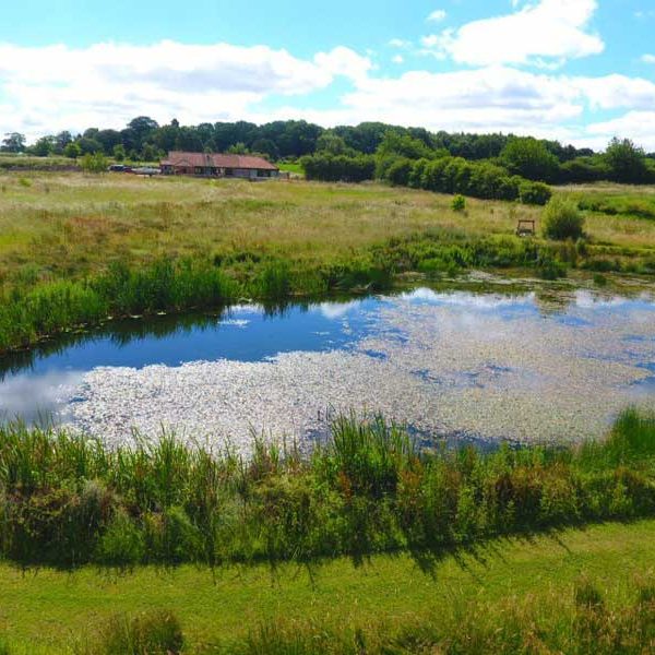 Bayses Barn Pond