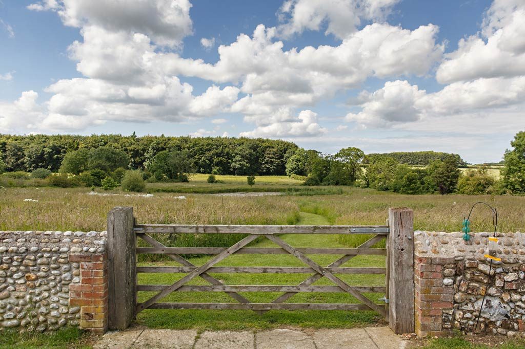 Meadow down to Pond