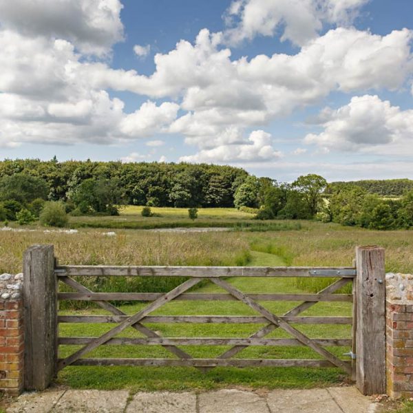 Meadow Down To Pond